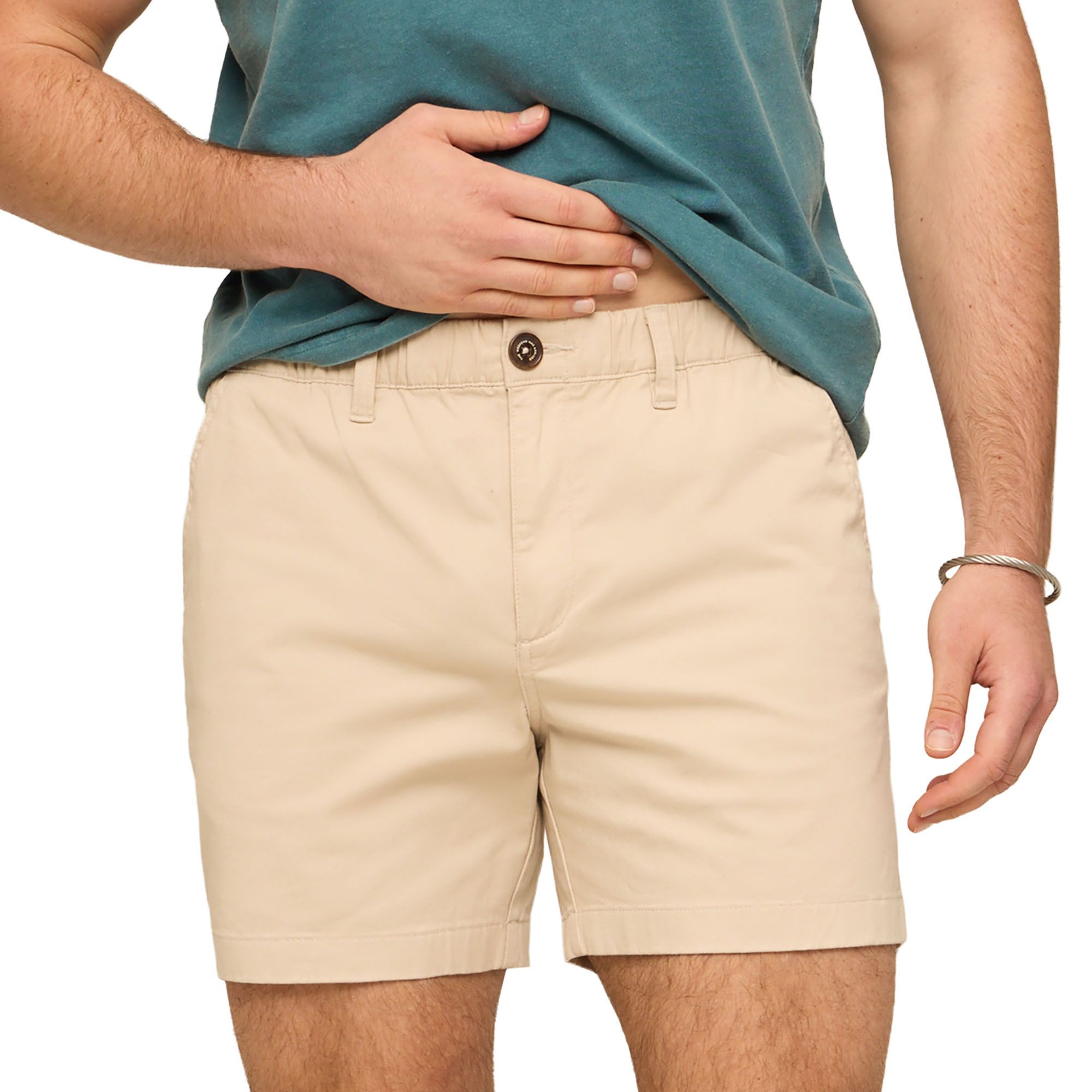 Chubbies Men's Original Stretch Shorts product image