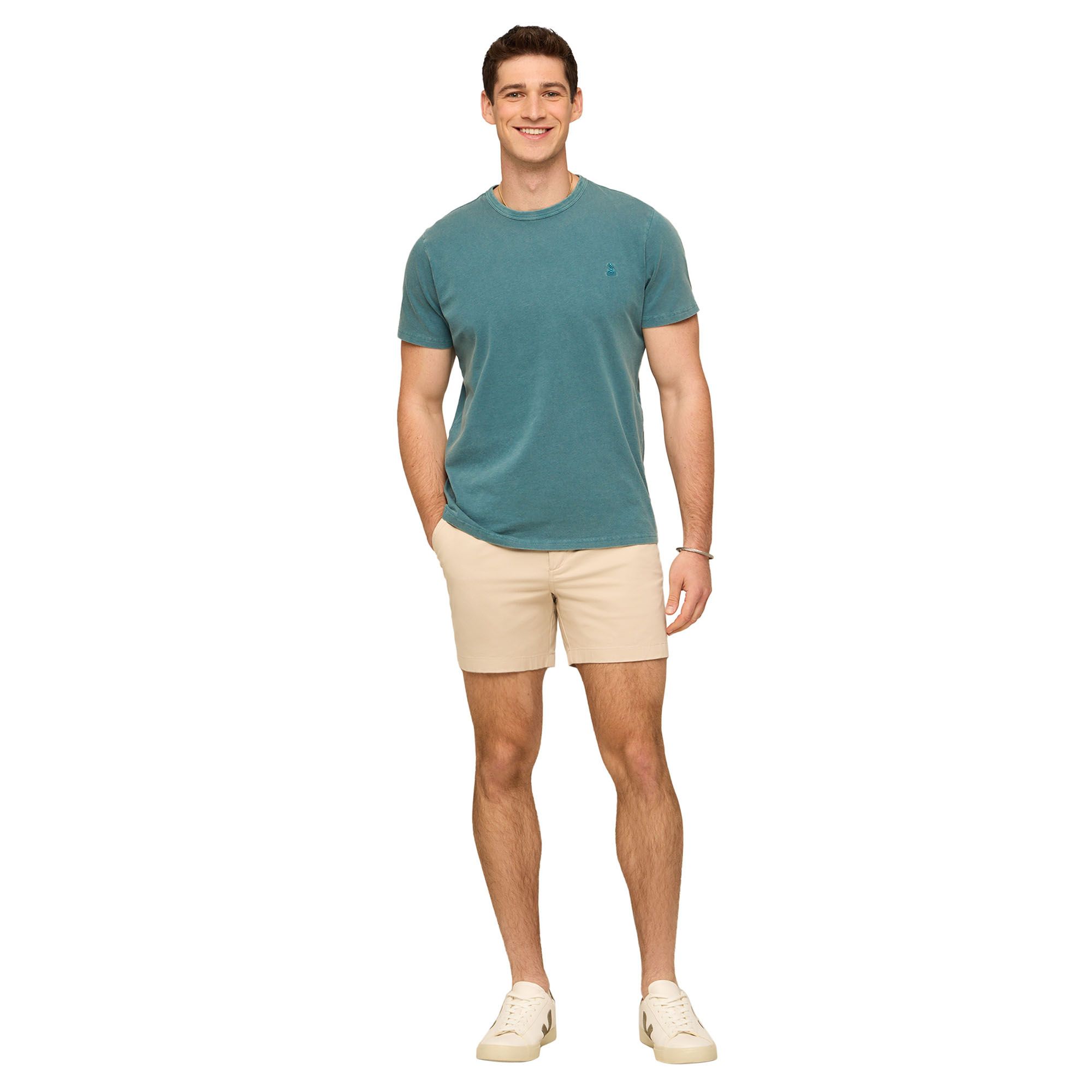 Chubbies Men's Original Stretch Shorts product image