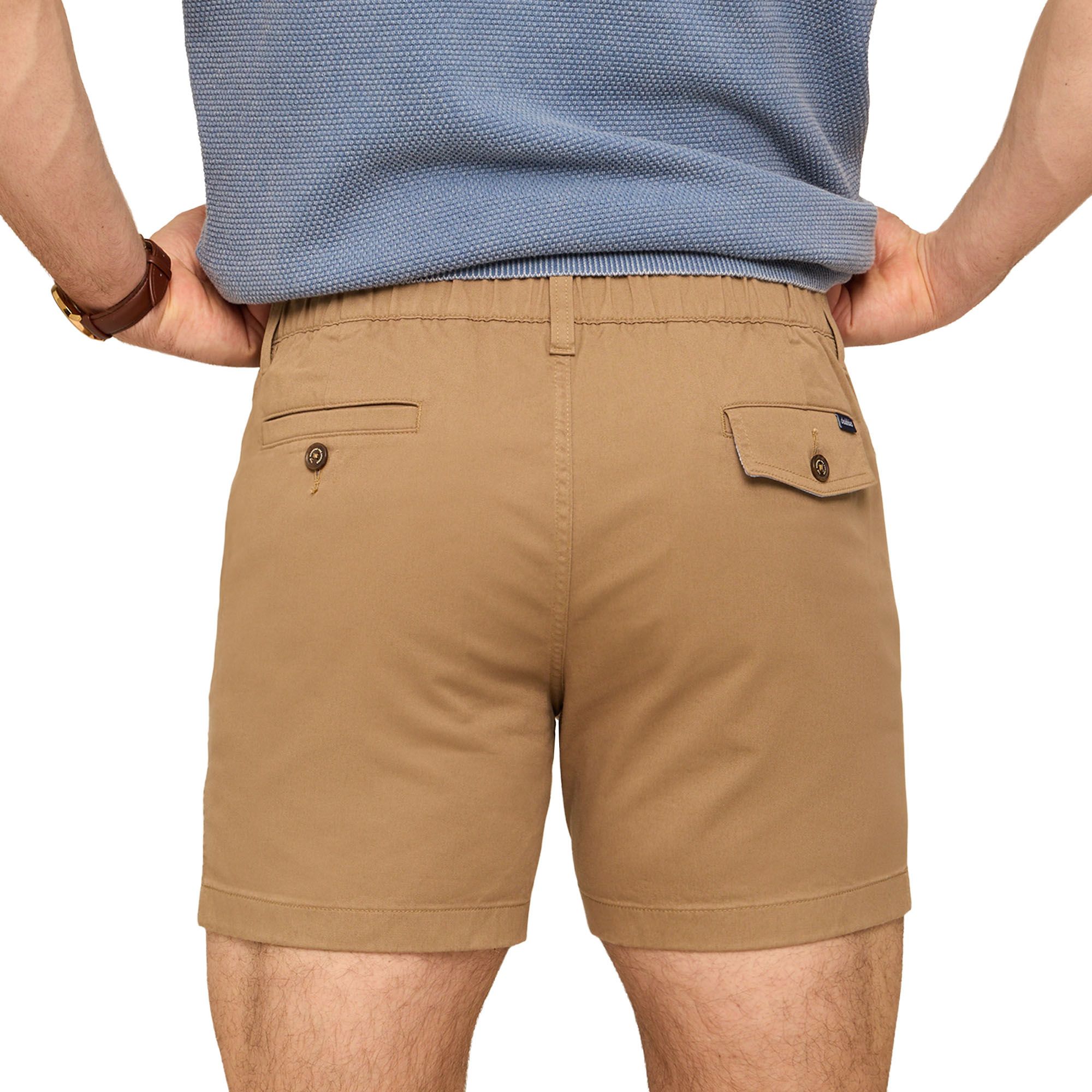 Chubbies Men's Original Stretch Shorts product image