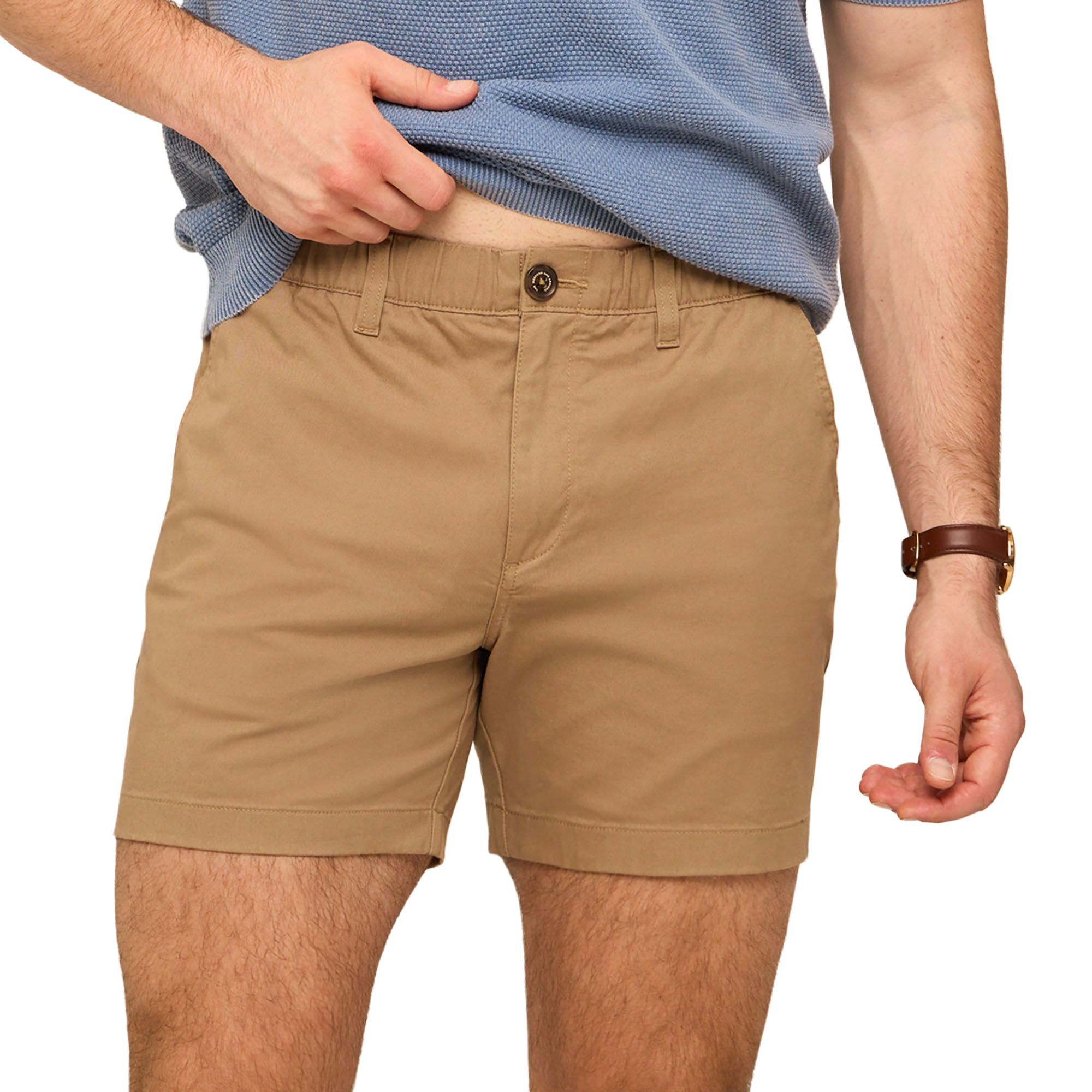 Chubbies Men's Original Stretch Shorts product image