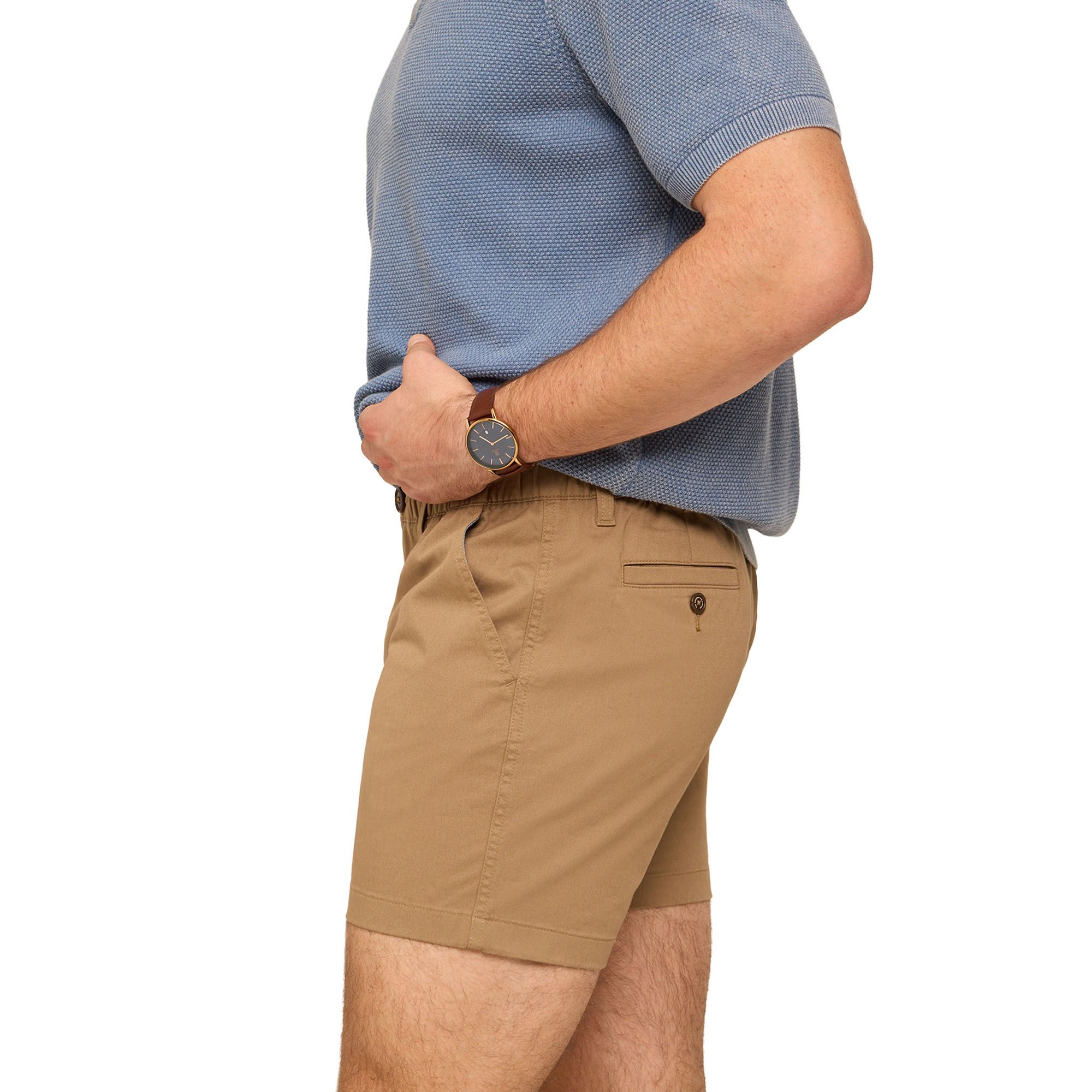 Chubbies Men's Original Stretch Shorts product image
