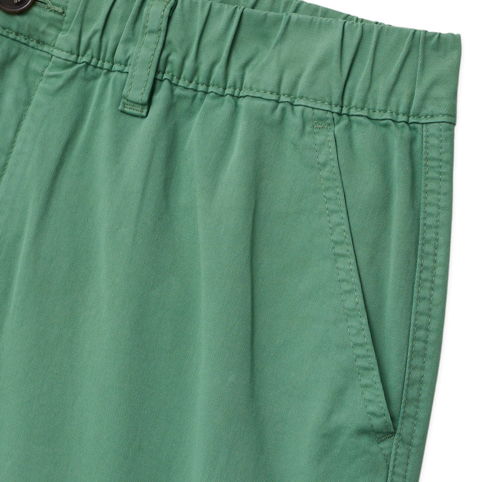 Chubbies Men's Original Stretch Shorts product image