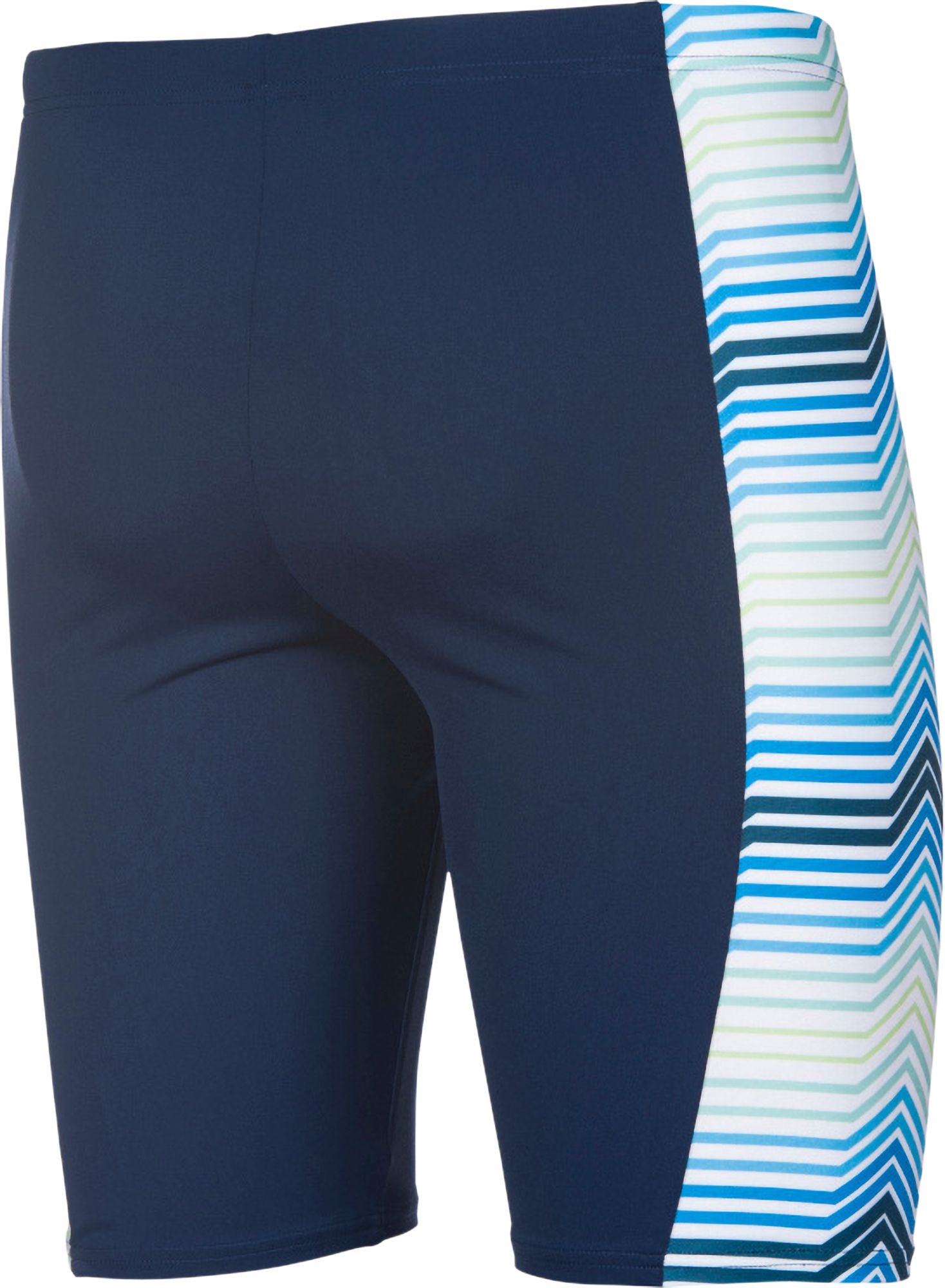 arena Men's Multicolor Stripes Jammer product image