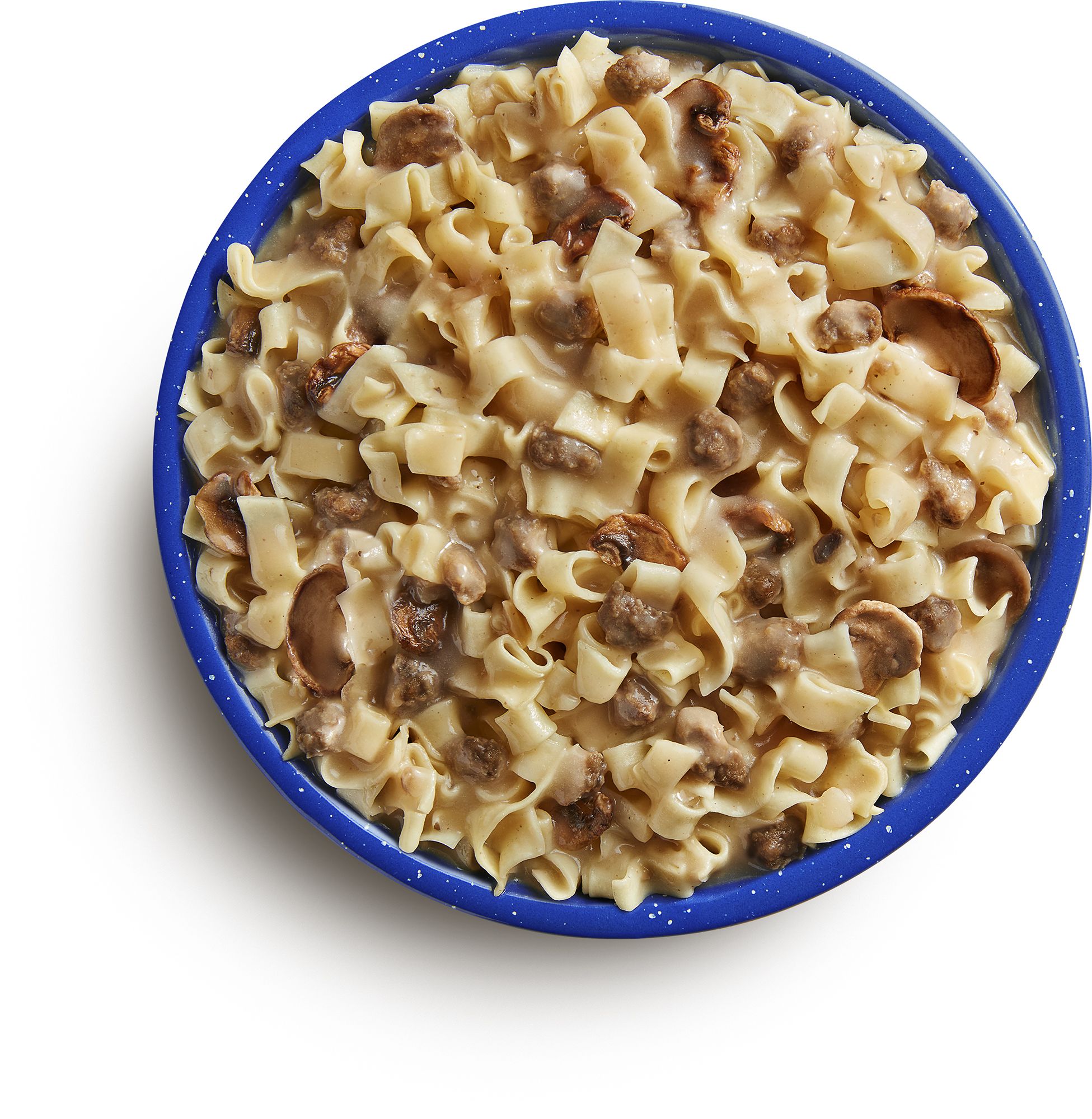 Mountain House Beef Stroganoff Pouch product image