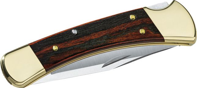 Buck Knives Folding Hunter Knife