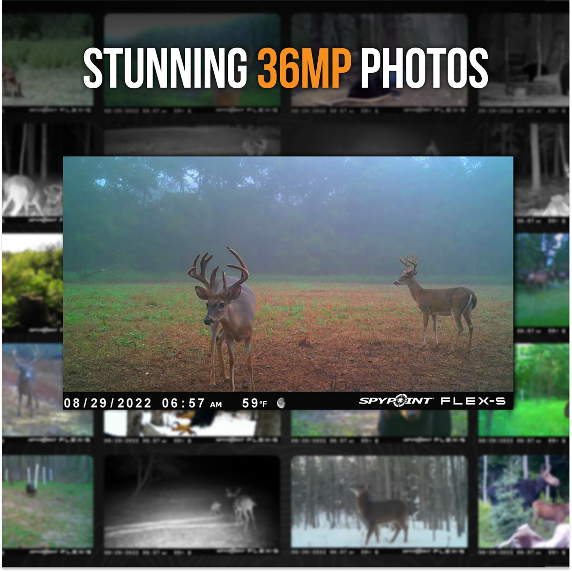 Spypoint Flex G-36 Cellular Trail Camera - 36 MP product image
