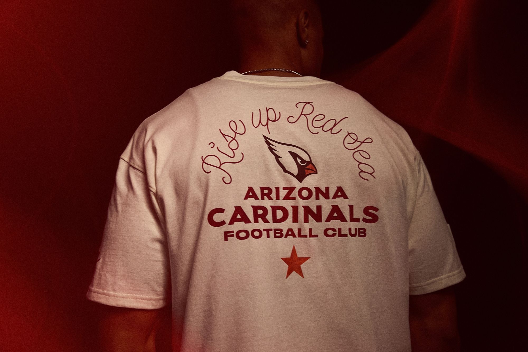Nike Men's Arizona Cardinals NFL Rivalries Max 90 T-Shirt product image