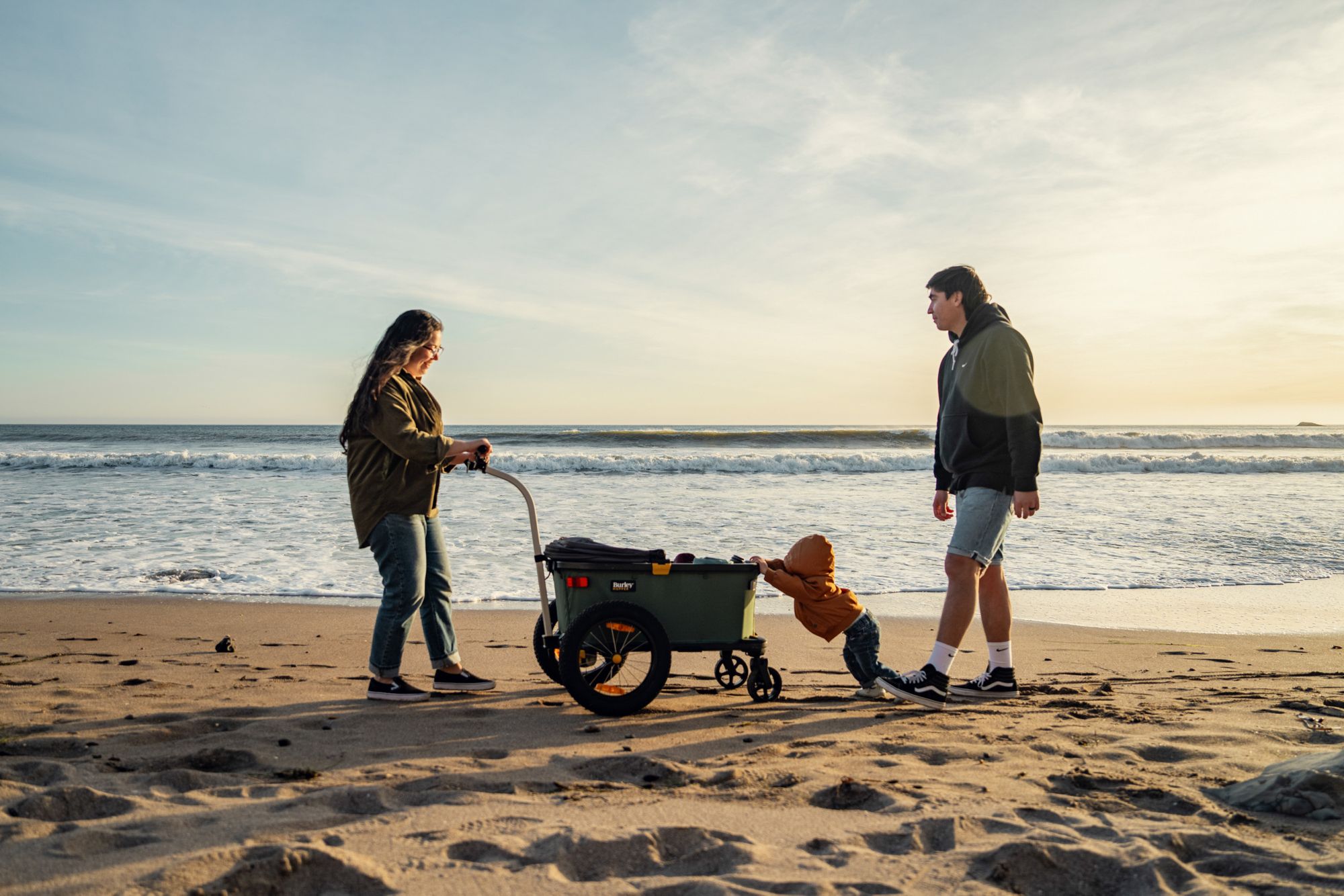 Burley Hopper Bike Trailer and Stroller Wagon product image