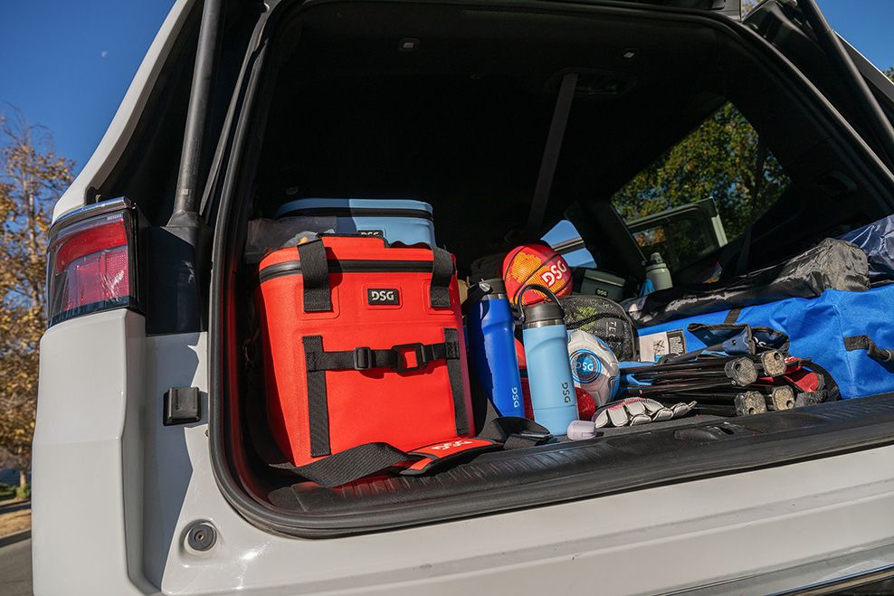 DSG Victory 12 Can Soft Cooler product image