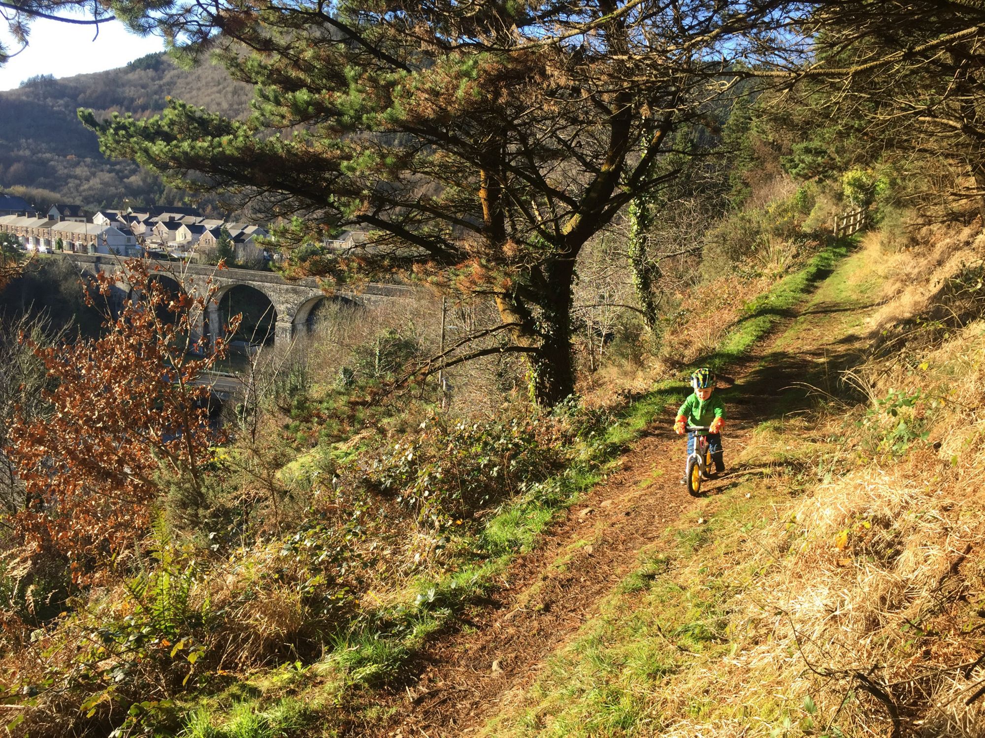 STRIDER Pro No-Pedal Balance Bike product image