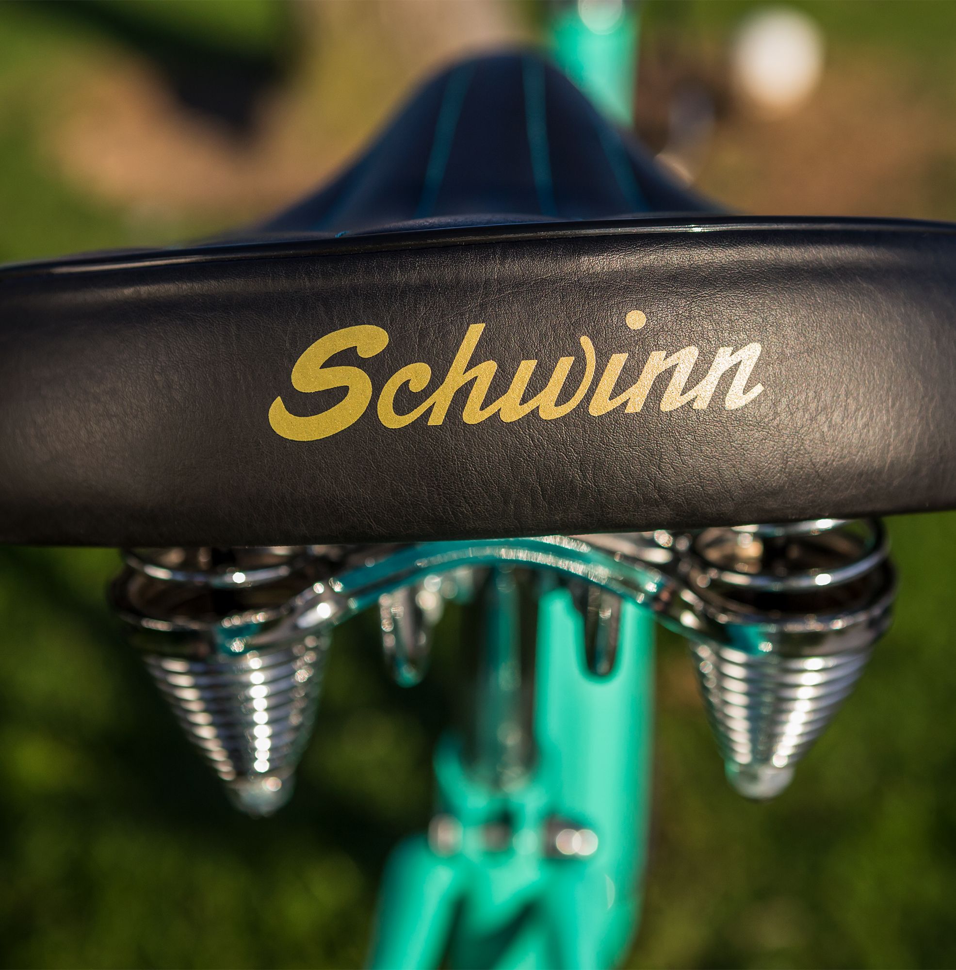 schwinn largo