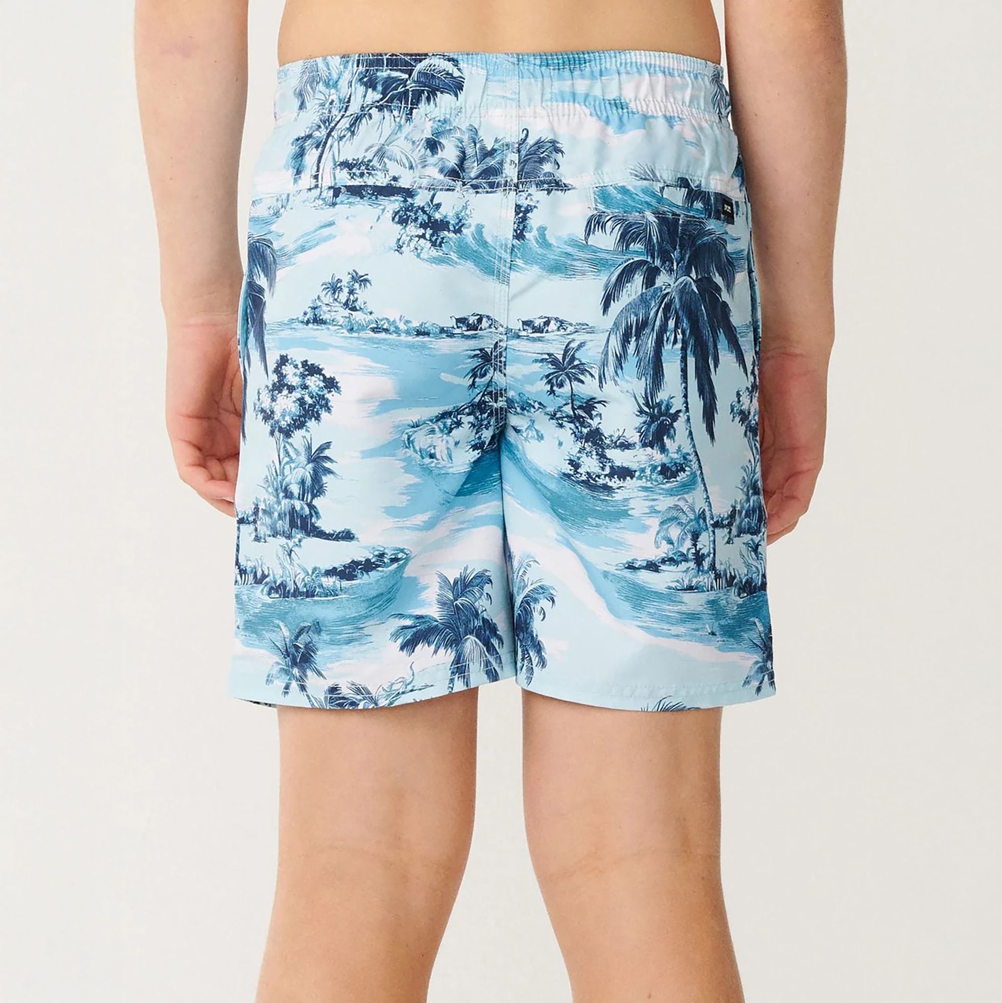 Rip Curl Boy's Dreamers Volley Boardshort product image