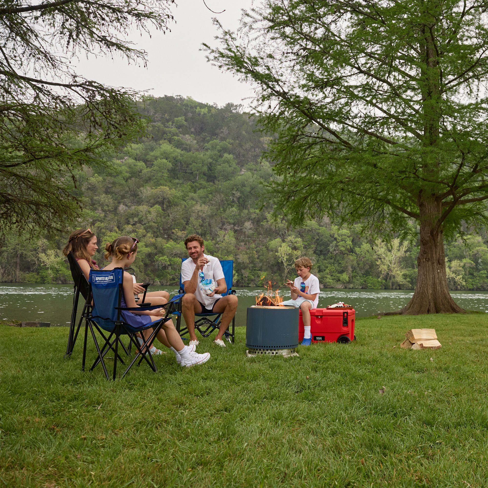 DSG Logo Armchair product image