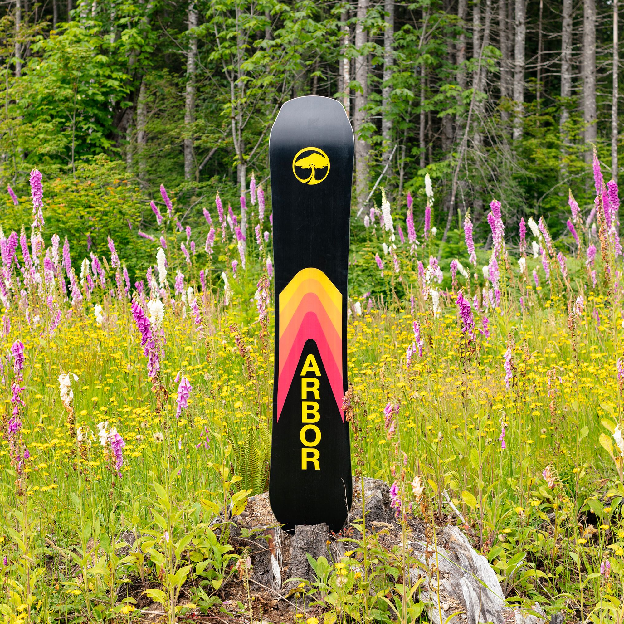 Arbor Cypress Men's Snowboard Bindings product image
