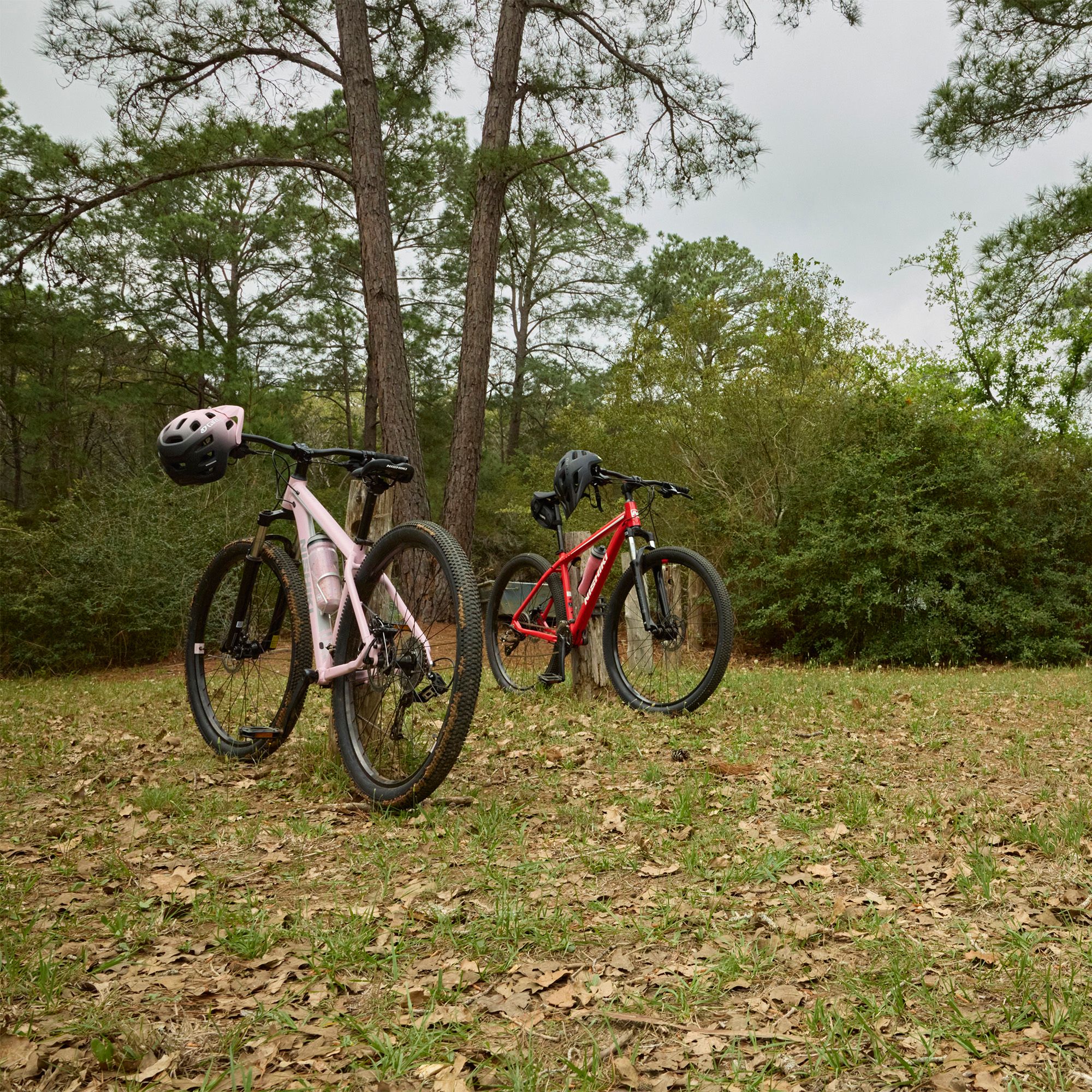 Nishiki Adult Colorado Mountain Bike product image