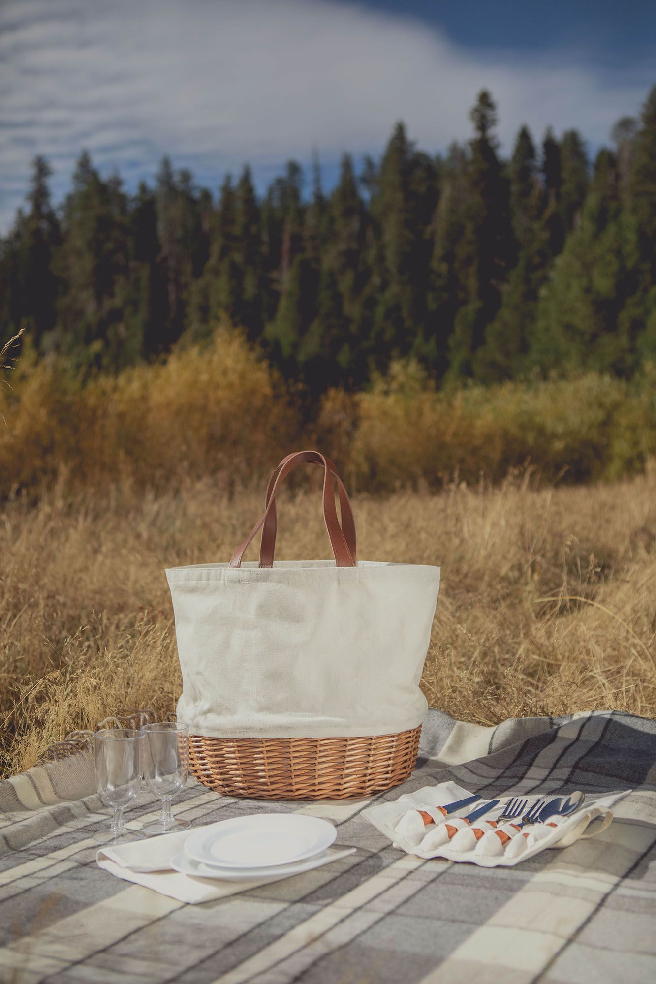 Picnic Time Green Bay Packers Promenade Picnic Basket