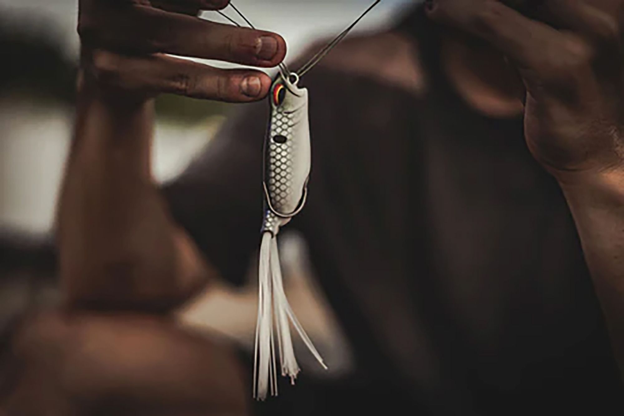 6th Sense Vega Frog product image