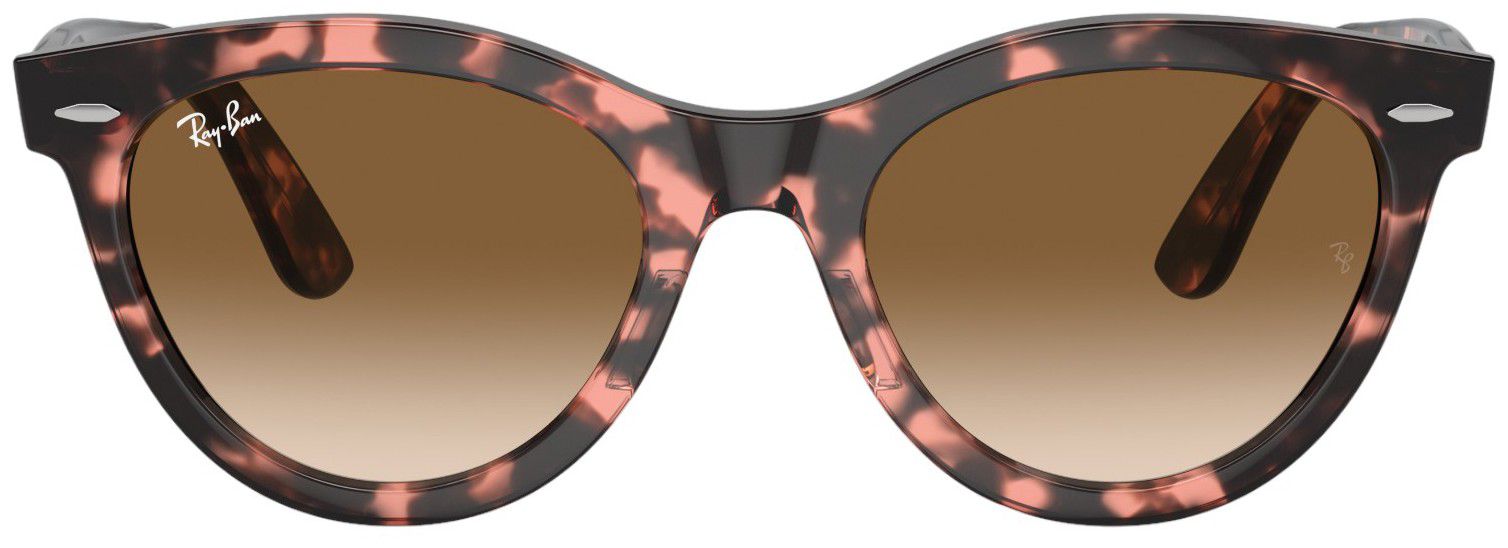 Ray-Ban Wayfarer Way Sunglasses product image