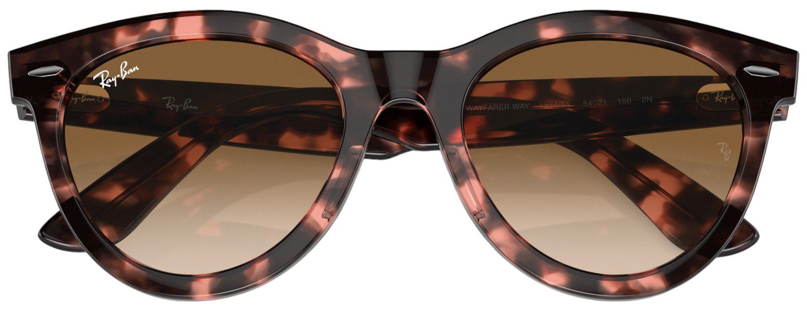 Ray-Ban Wayfarer Way Sunglasses product image