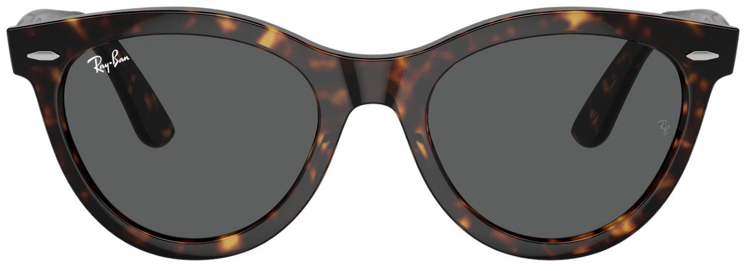 Ray-Ban Wayfarer Way Sunglasses product image