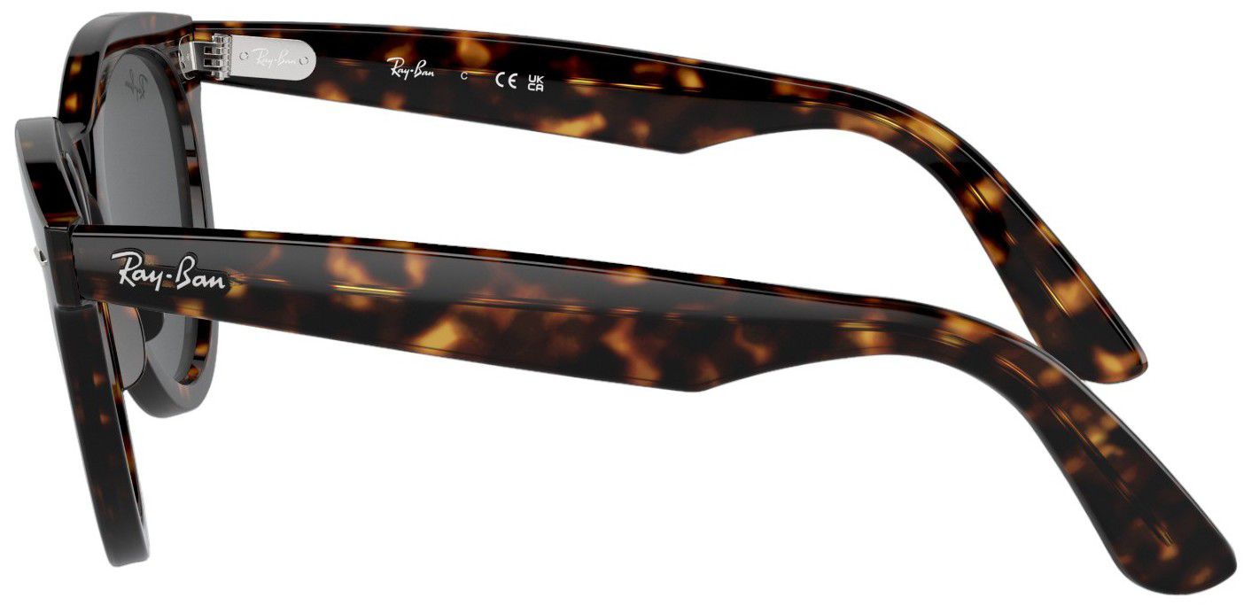 Ray-Ban Wayfarer Way Sunglasses product image