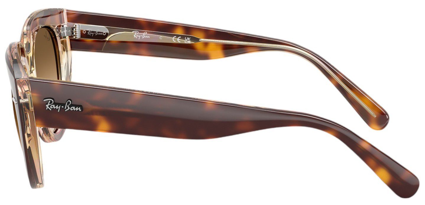 Ray-Ban Doreen Sunglasses product image