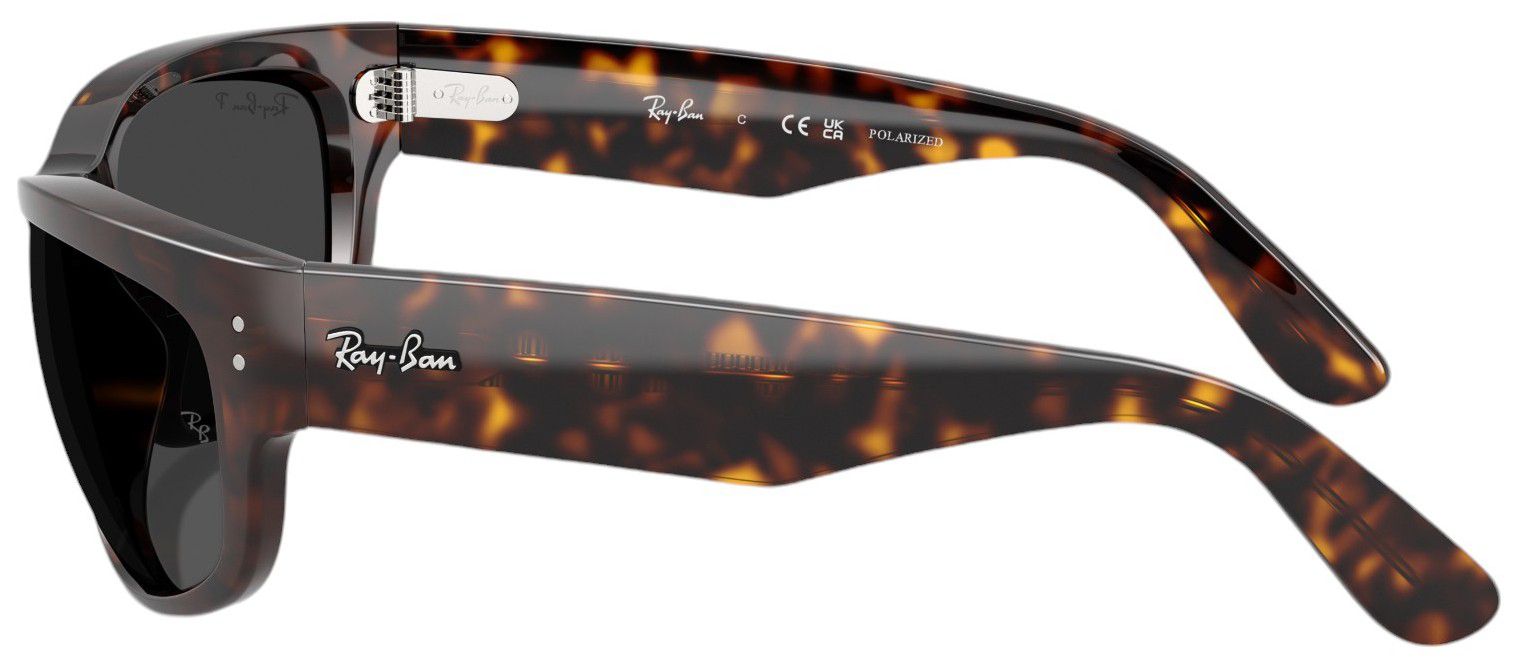 Ray-Ban Mega Balorama Sunglasses product image