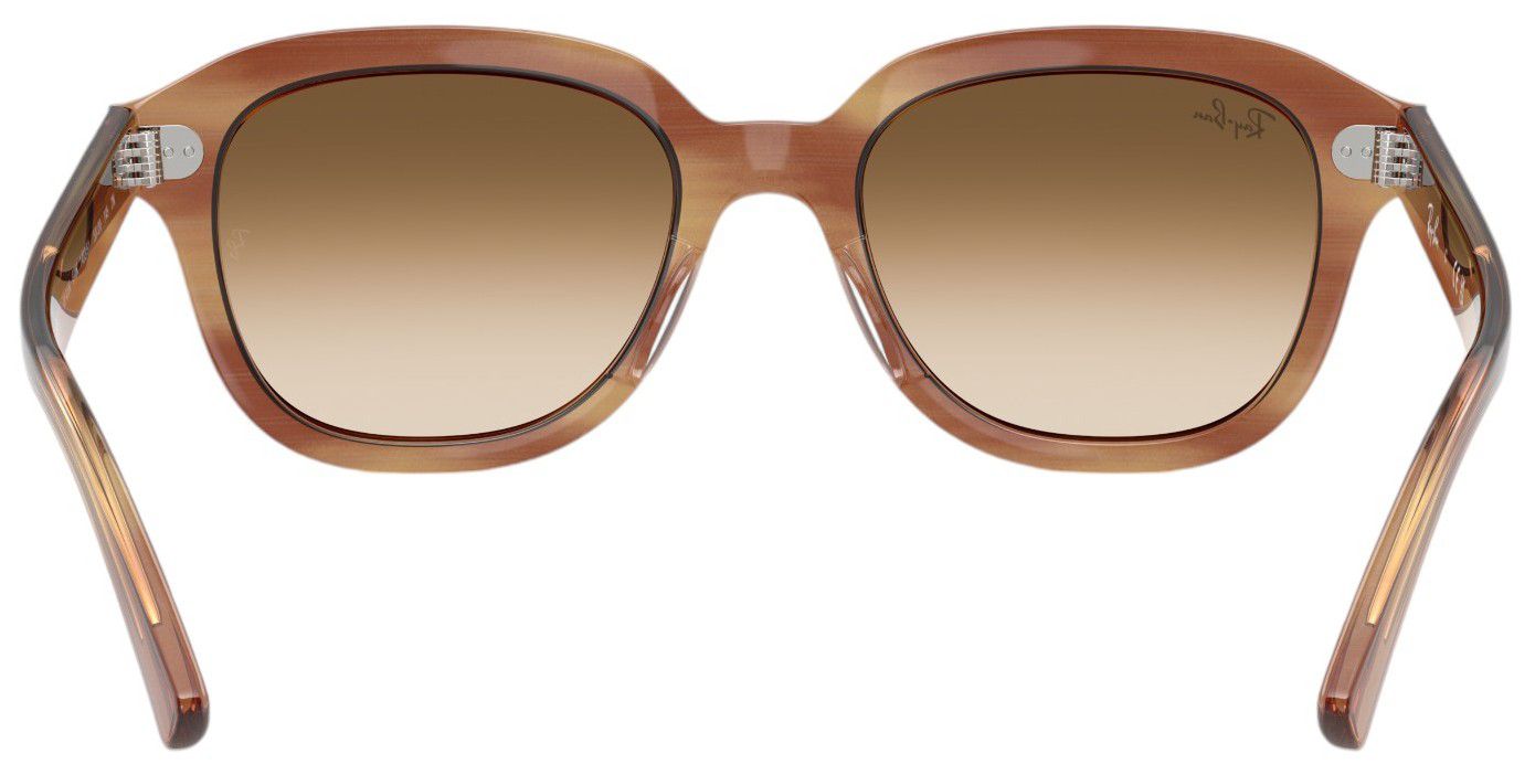 Ray-Ban Erik Sunglasses product image