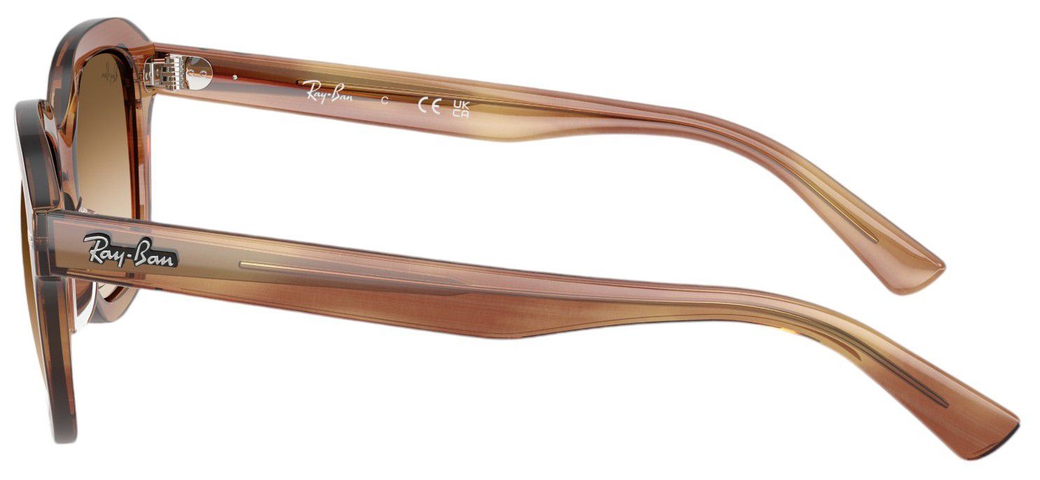 Ray-Ban Erik Sunglasses product image