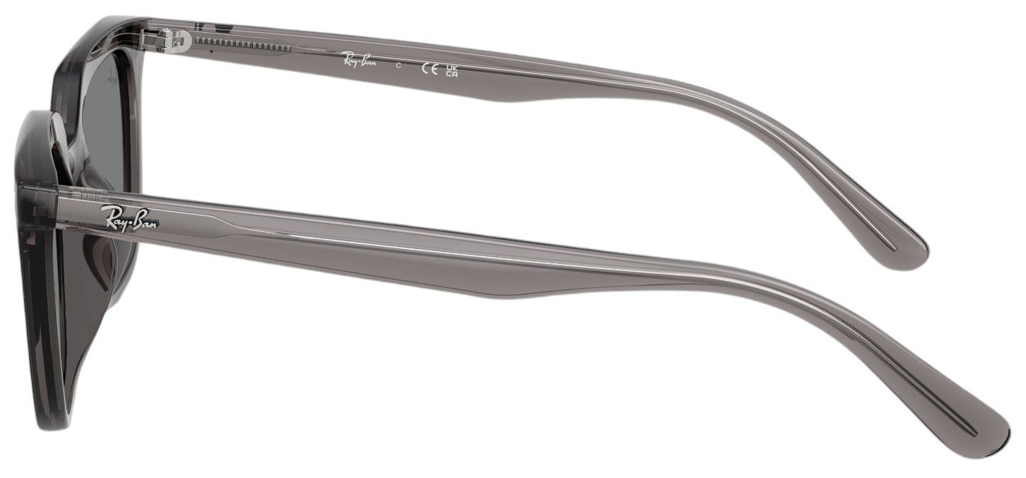 Ray-Ban RB4439D Sunglasses product image