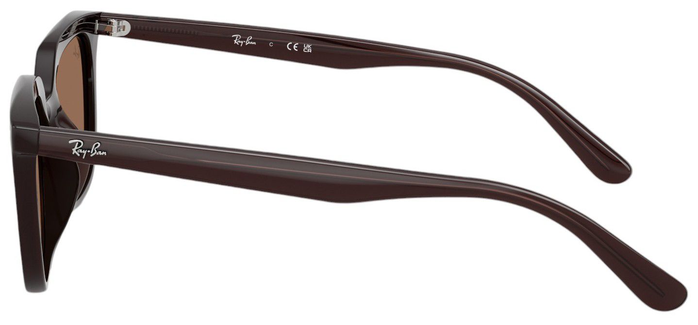Ray-Ban RB4439D Sunglasses product image