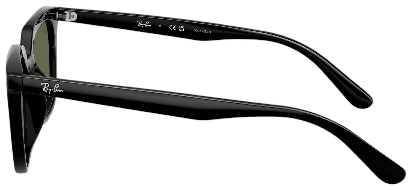 Ray-Ban RB4439D Sunglasses product image