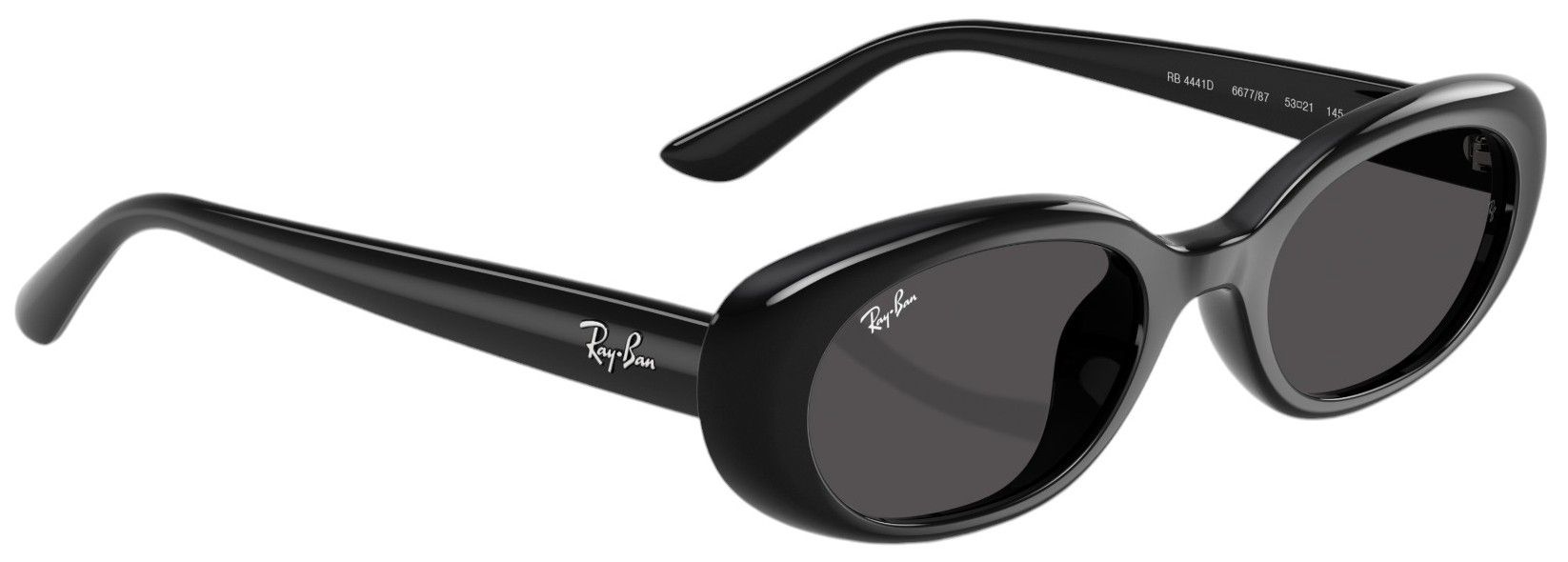 Ray-Ban RB4441D Bio-Based Sunglasses product image