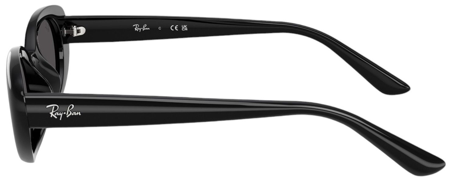 Ray-Ban RB4441D Bio-Based Sunglasses product image