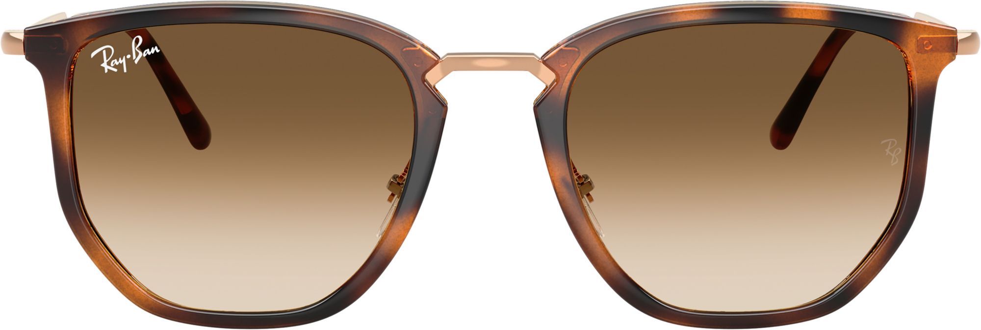 Ray-Ban RB4451 Sunglasses product image