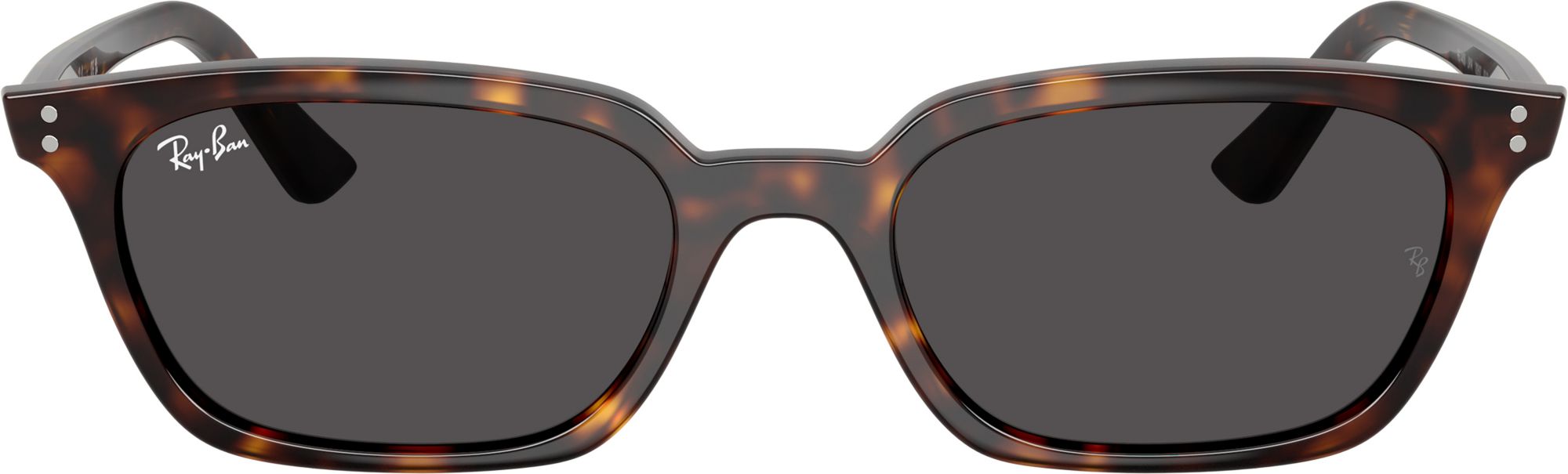 Ray-Ban Zaya Sunglasses product image