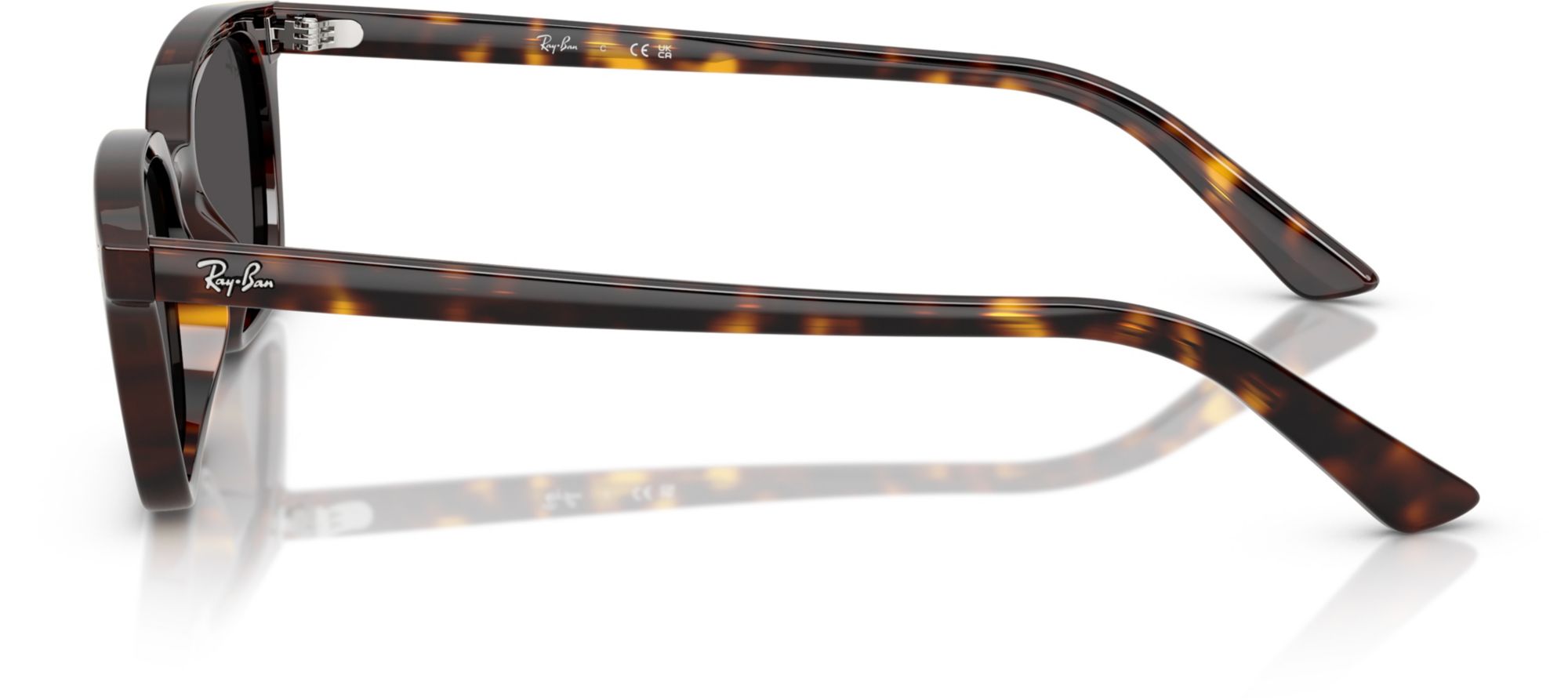 Ray-Ban Zaya Sunglasses product image