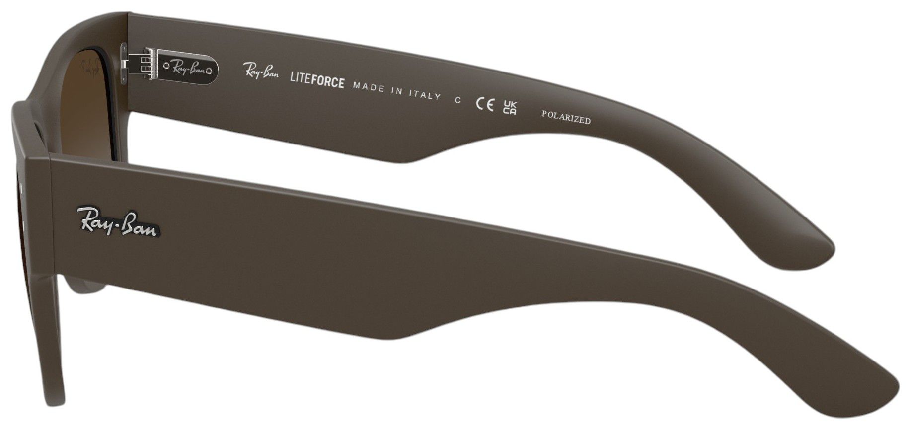 Ray-Ban Mega Wayfarer Liteforce Sunglasses product image