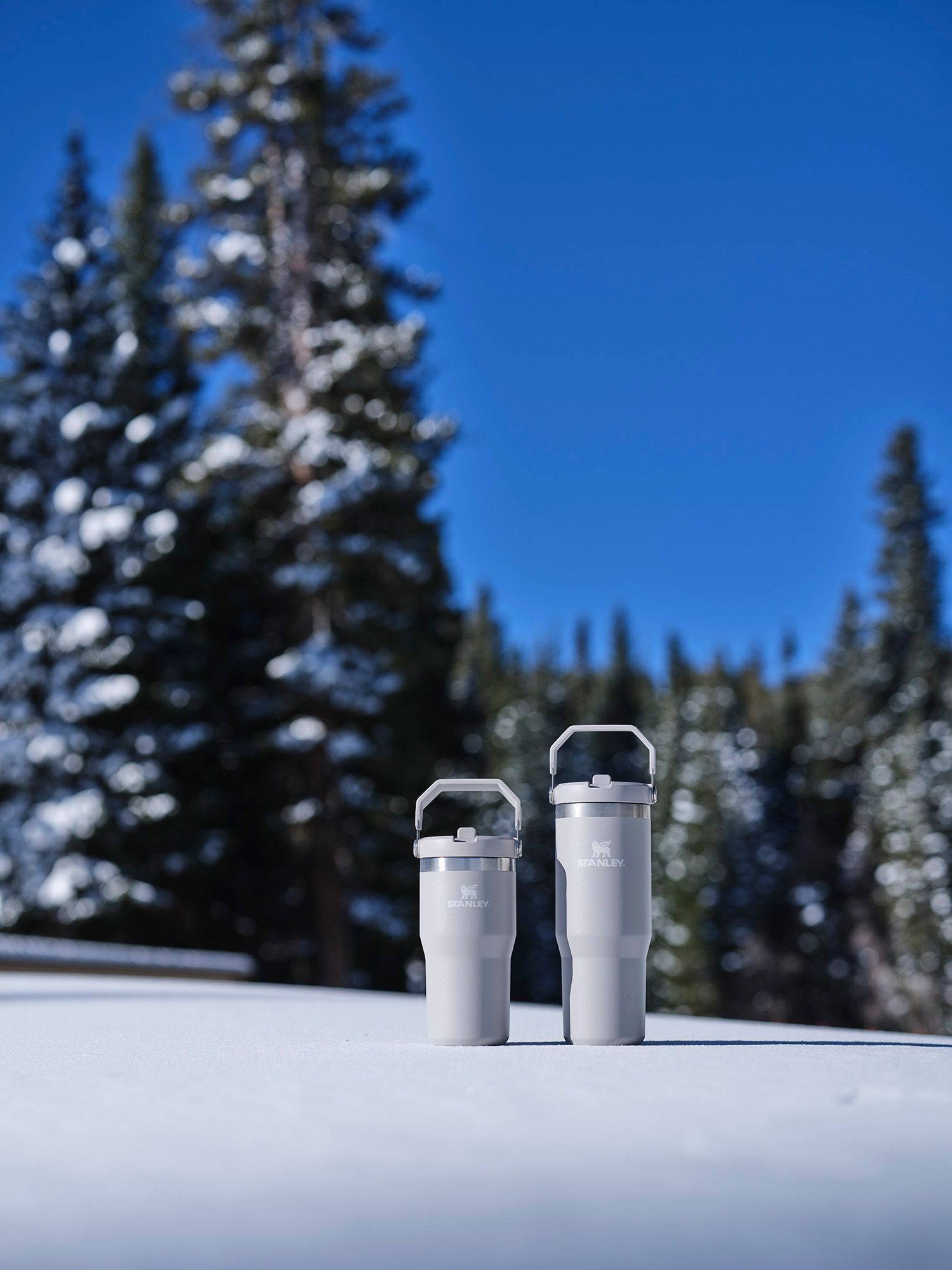 Stanley 20 Oz. IceFlow Flip Straw Tumbler product image