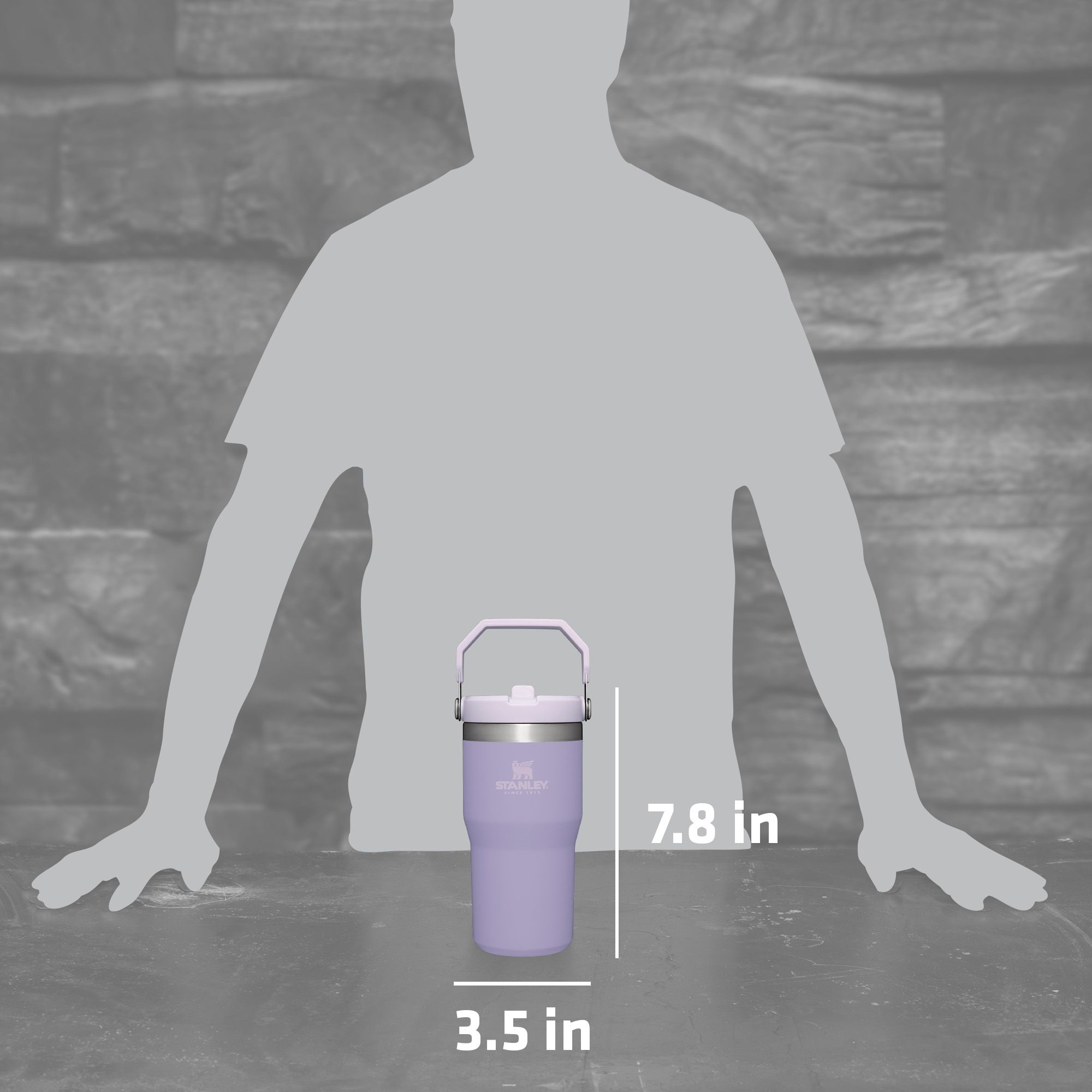 Stanley 20 Oz. IceFlow Flip Straw Tumbler product image