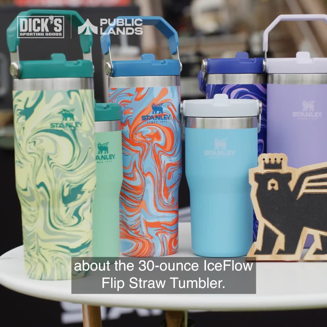 Stanley 20 Oz. IceFlow Flip Straw Tumbler product