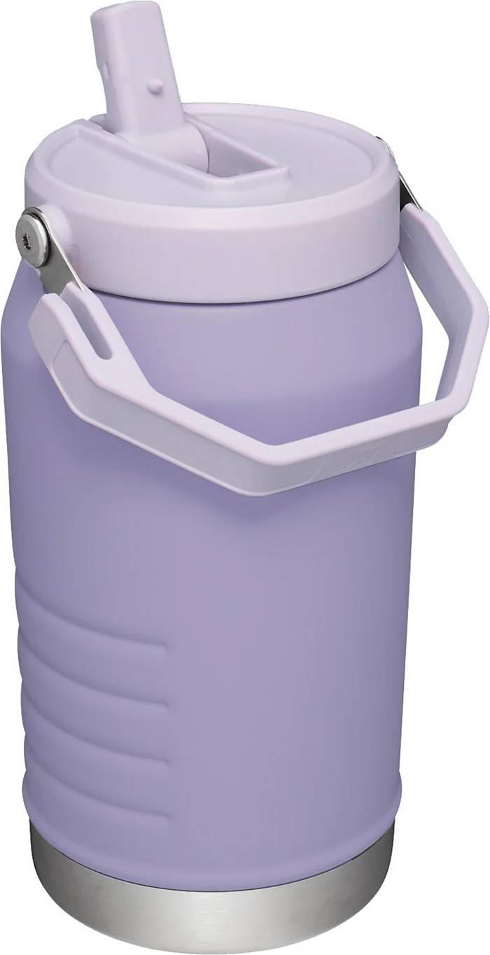 NEW! Stanley IceFlow Tumbler Leak-proof Flip Straw Lavender Review