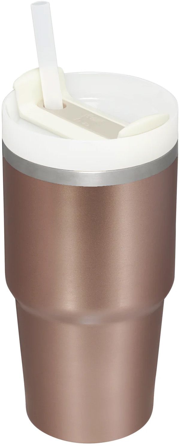 Stanley 20 oz. Quencher H2.0 FlowState Tumbler product image