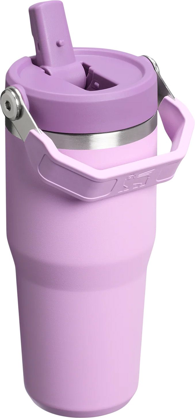 Stanley 14 oz. IceFlow 2.0 Flip Straw Tumbler product image
