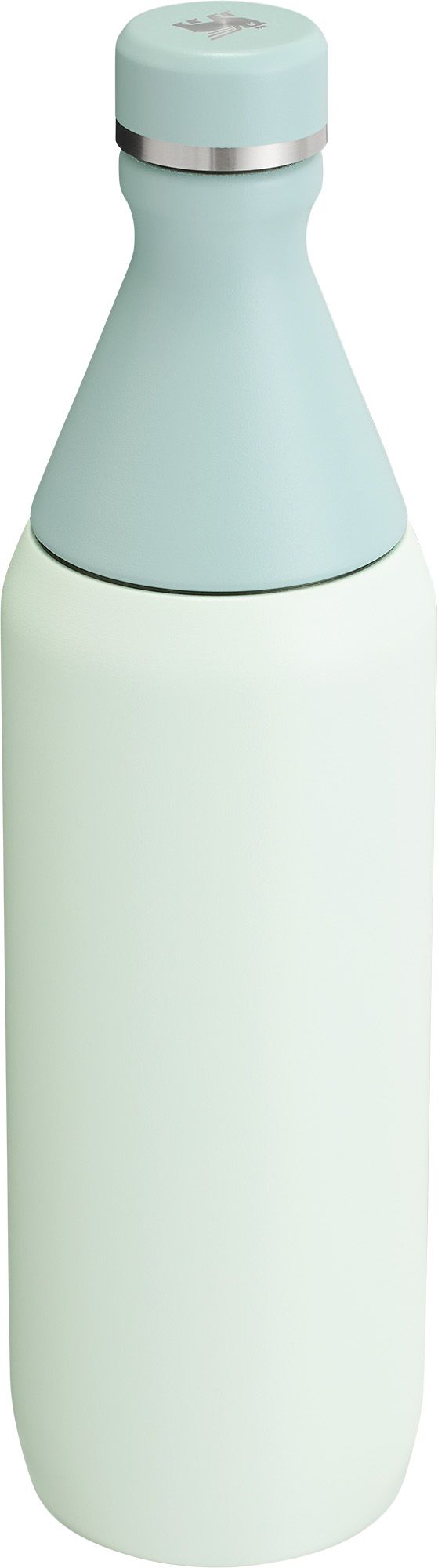 Stanley 20 oz. All Day Slim Bottle