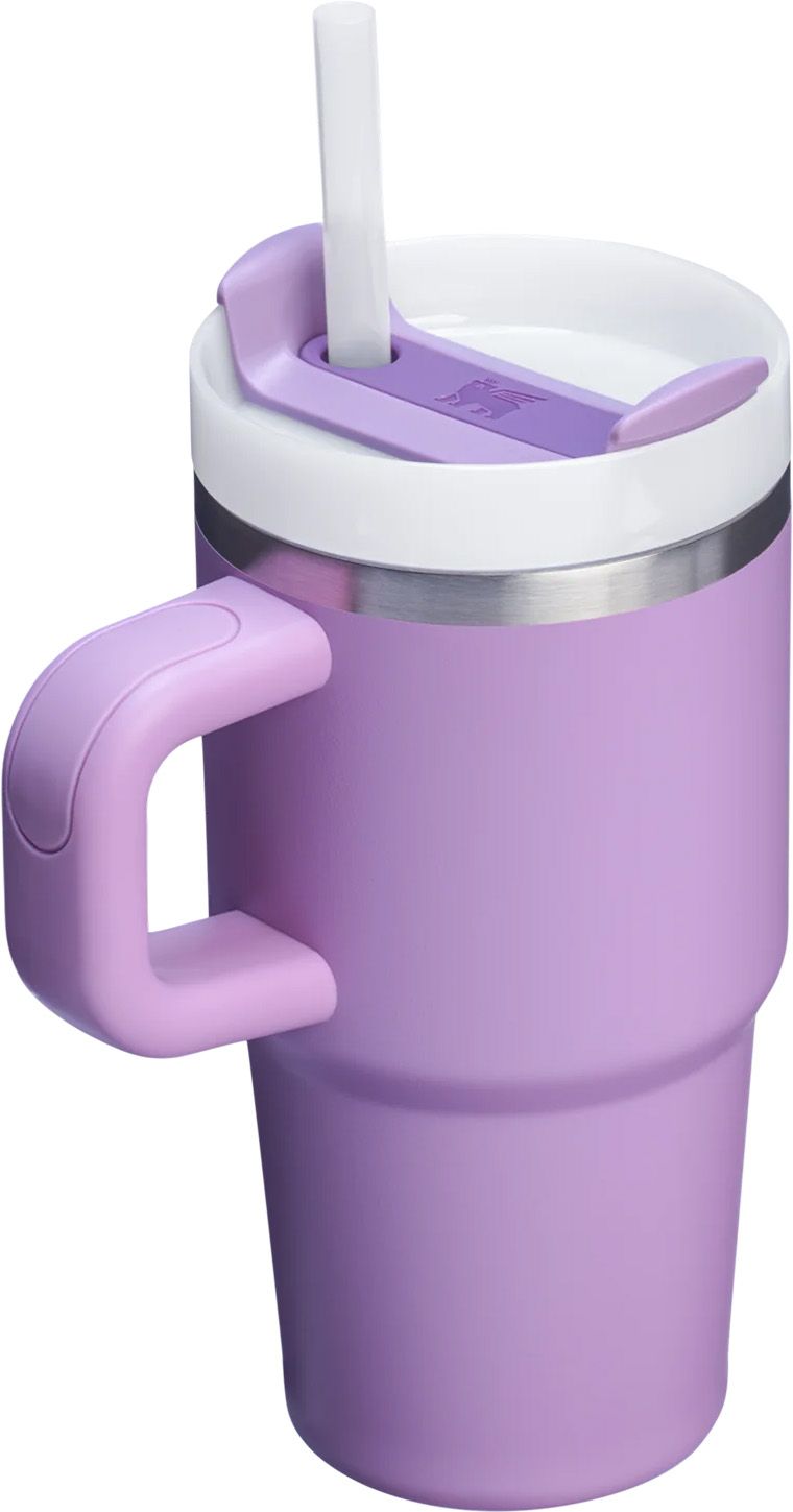 Stanley 20 oz. Quencher H2.0 FlowState Tumbler with Handle product image