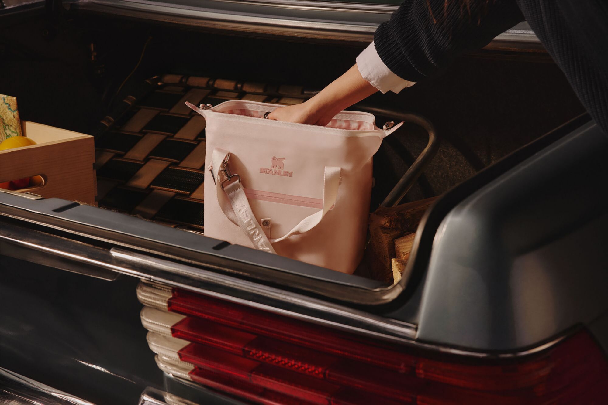 Stanley All Day Madeleine Mini Backpack Cooler - Spring Picnic product image