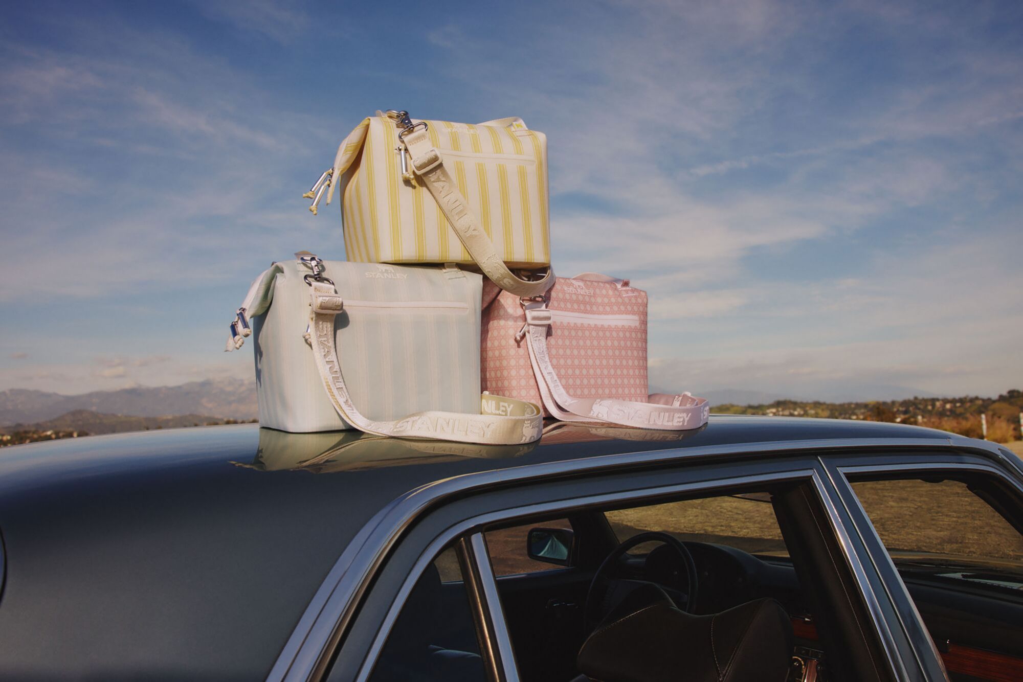 Stanley All Day Madeleine Mini Backpack Cooler - Spring Picnic product image