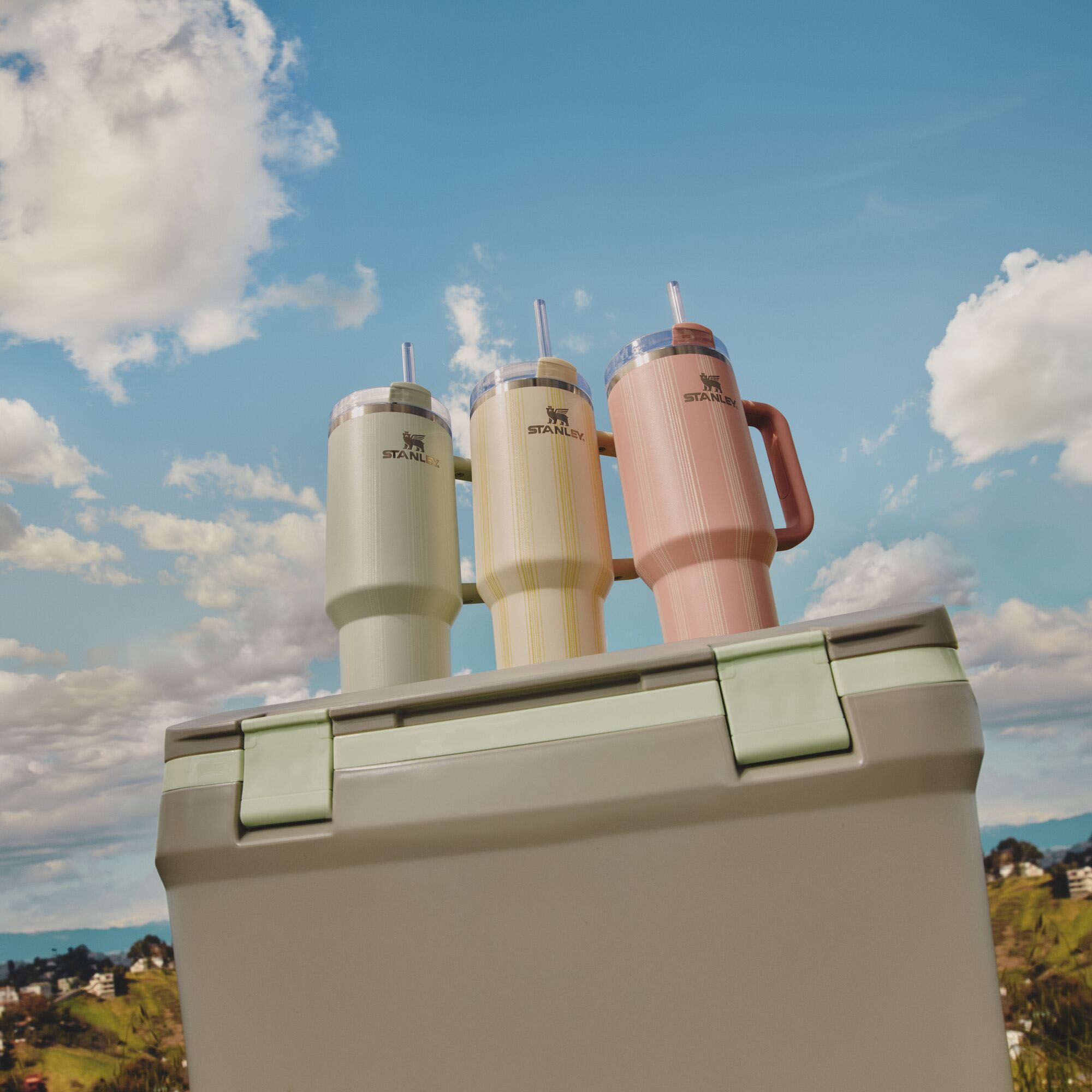 Stanley 40 oz. Quencher H2.0 FlowState Tumbler - Spring Picnic product image