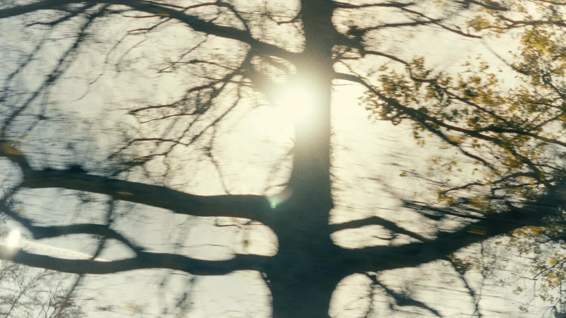 Stanley 30 oz. Quencher H2.0 FlowState Tumbler - Spring Picnic product